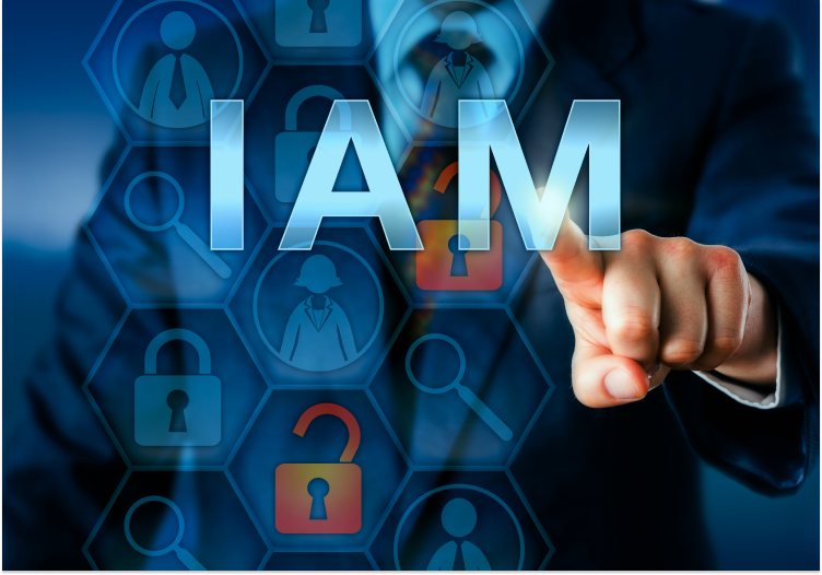 Cloud IAM solutions for data security